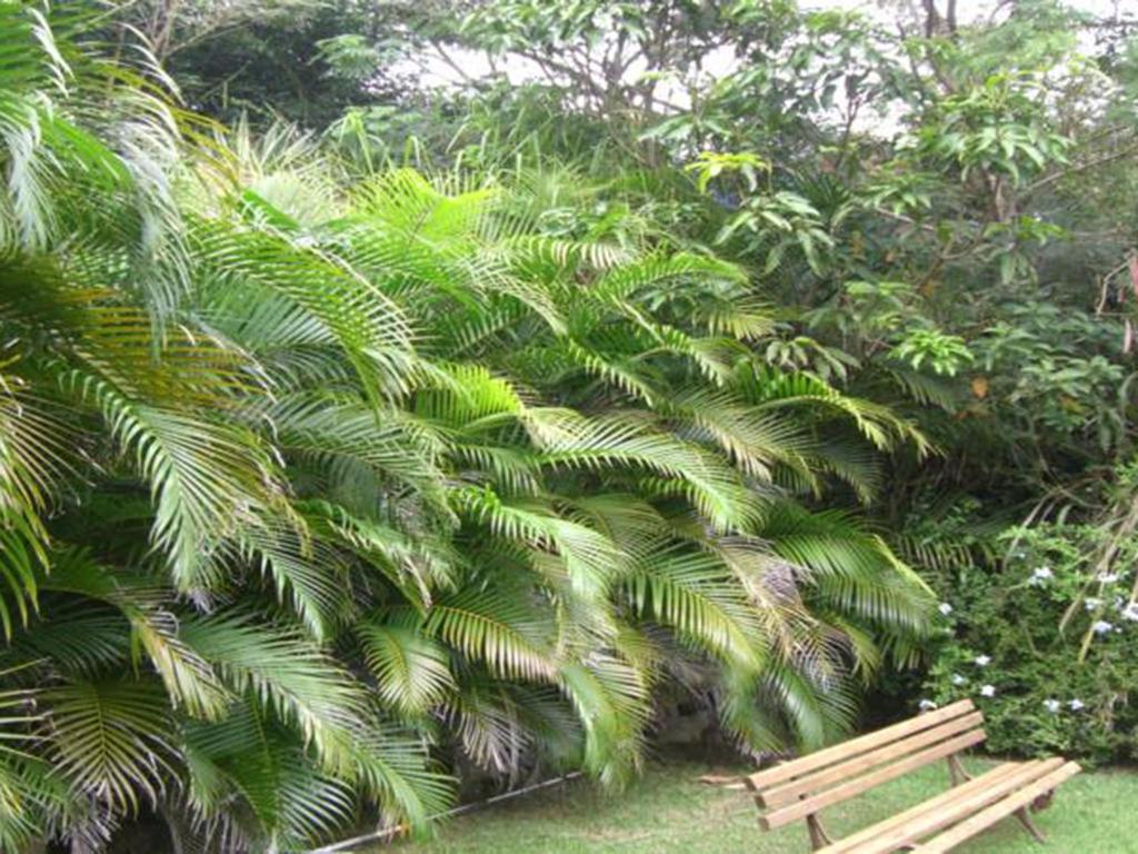 Htl Telhado Verde Armacao dos Buzios Dış mekan fotoğraf